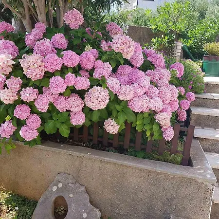 Mira Krk Apartman